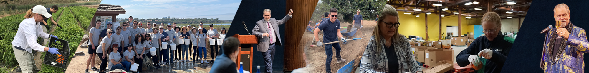 career-culture-strip-2-22