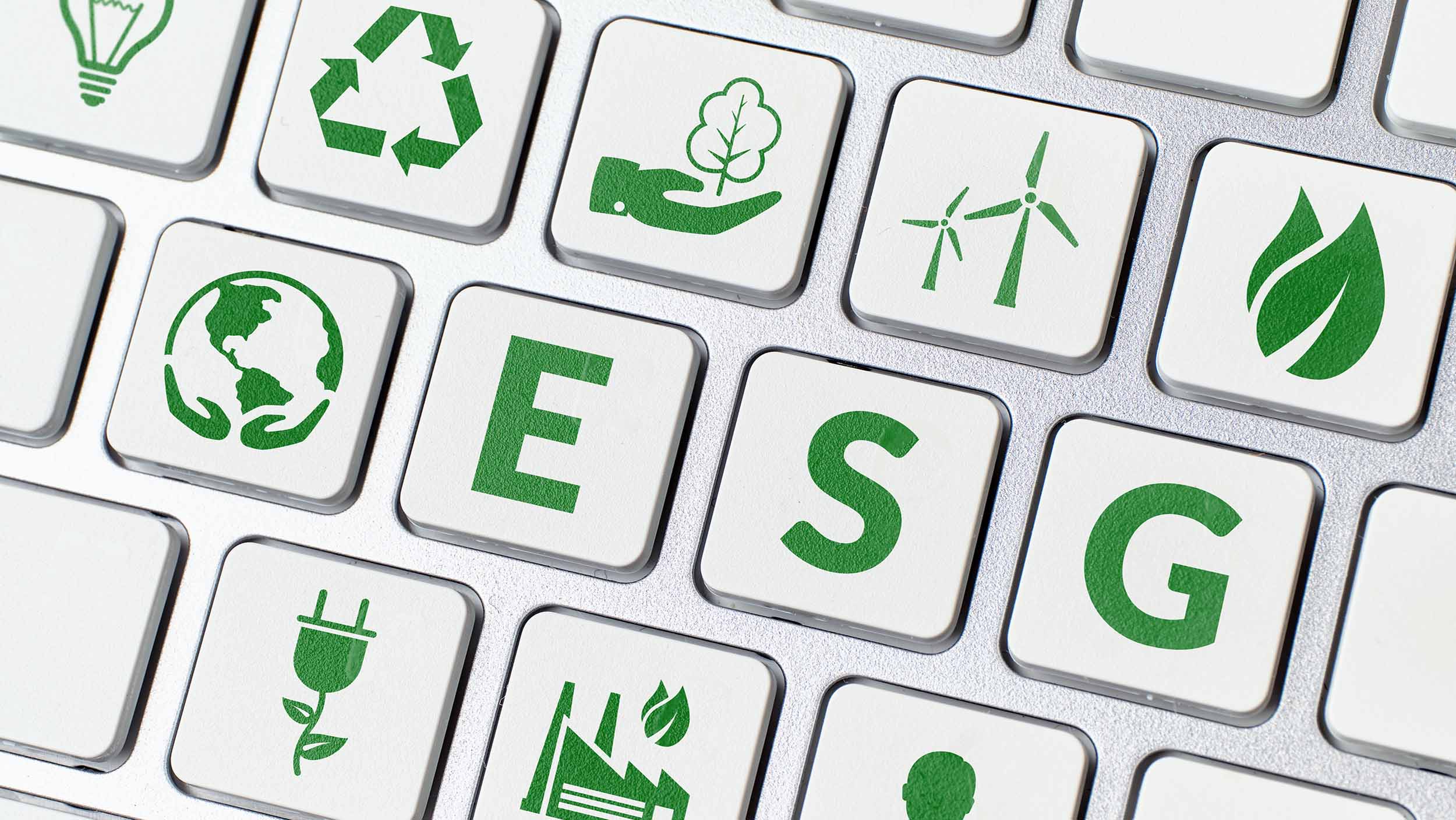 ESG Is a Preference, Not a Strategy