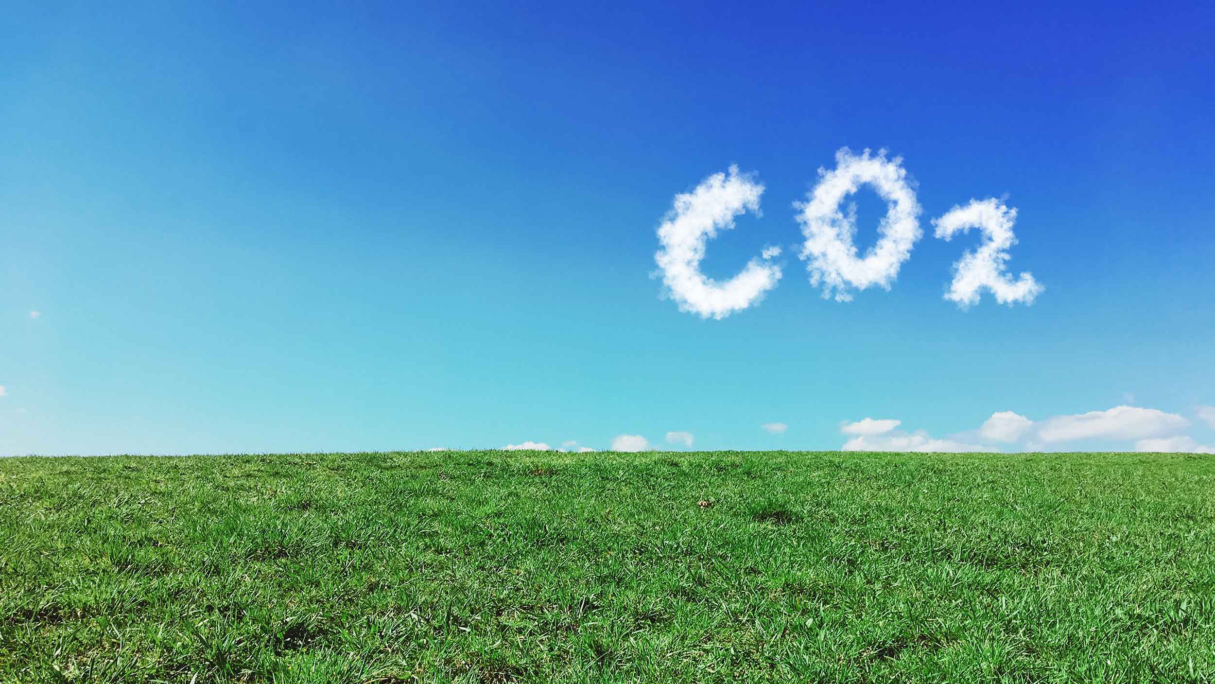 Green Data or Greenwashing? Do Corporate Carbon Emissions Data Enable Investors to Mitigate Climate Change?